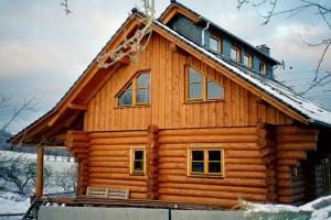 Wohnhaus-Naturstammhaus-WB02
