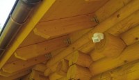 Stellbretter-aussen-02